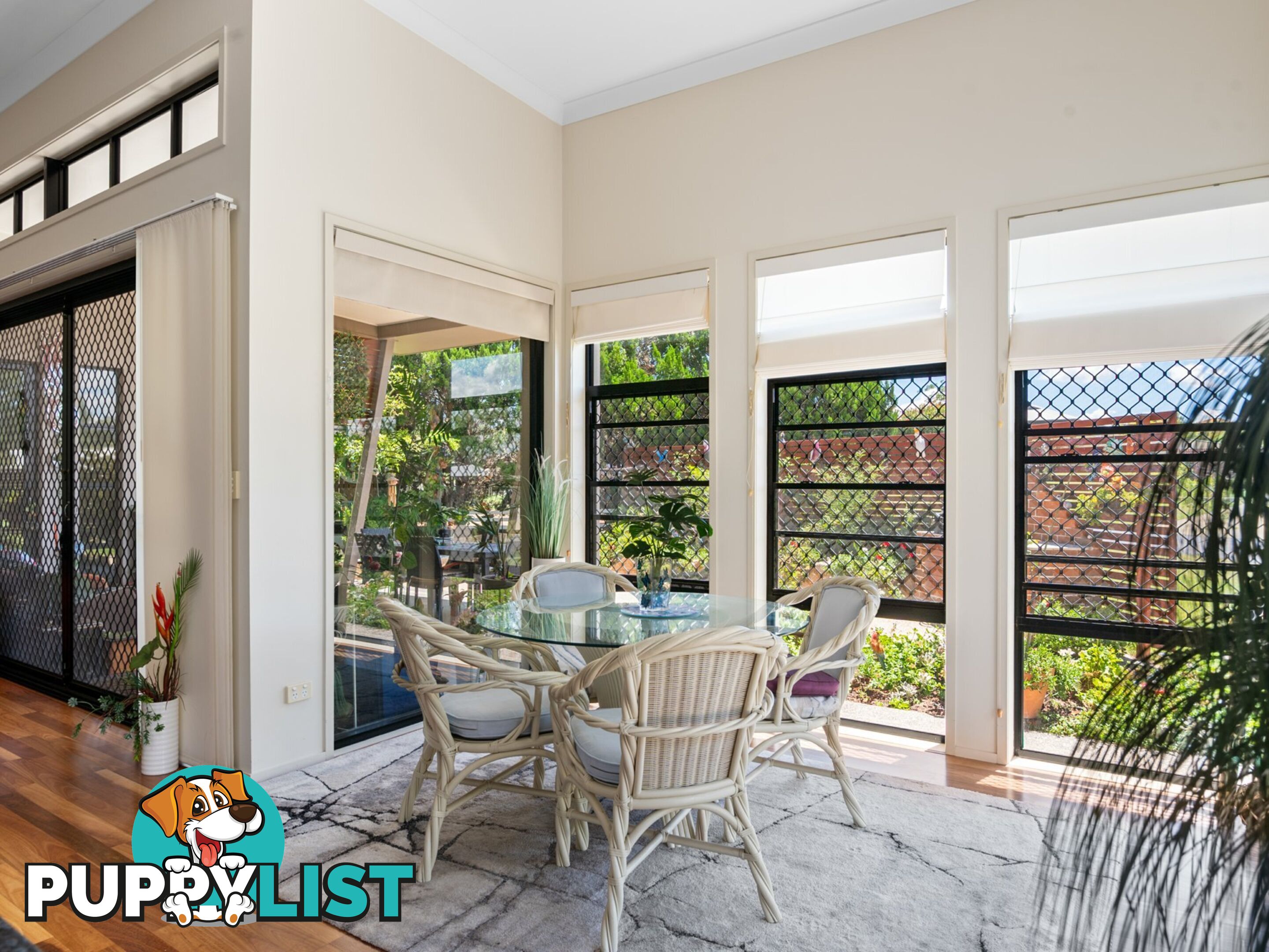 41 Bisley Street WARWICK QLD 4370