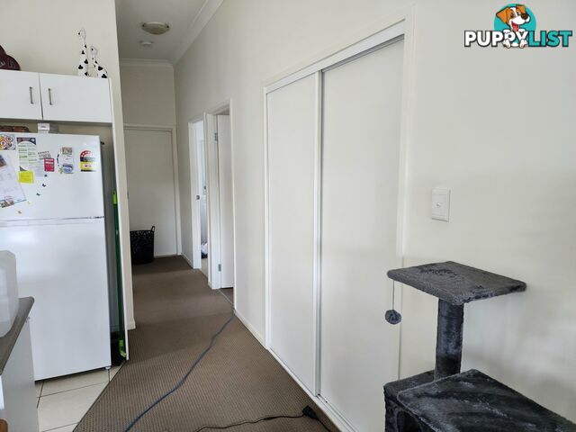 14 Augusta Close WARWICK QLD 4370