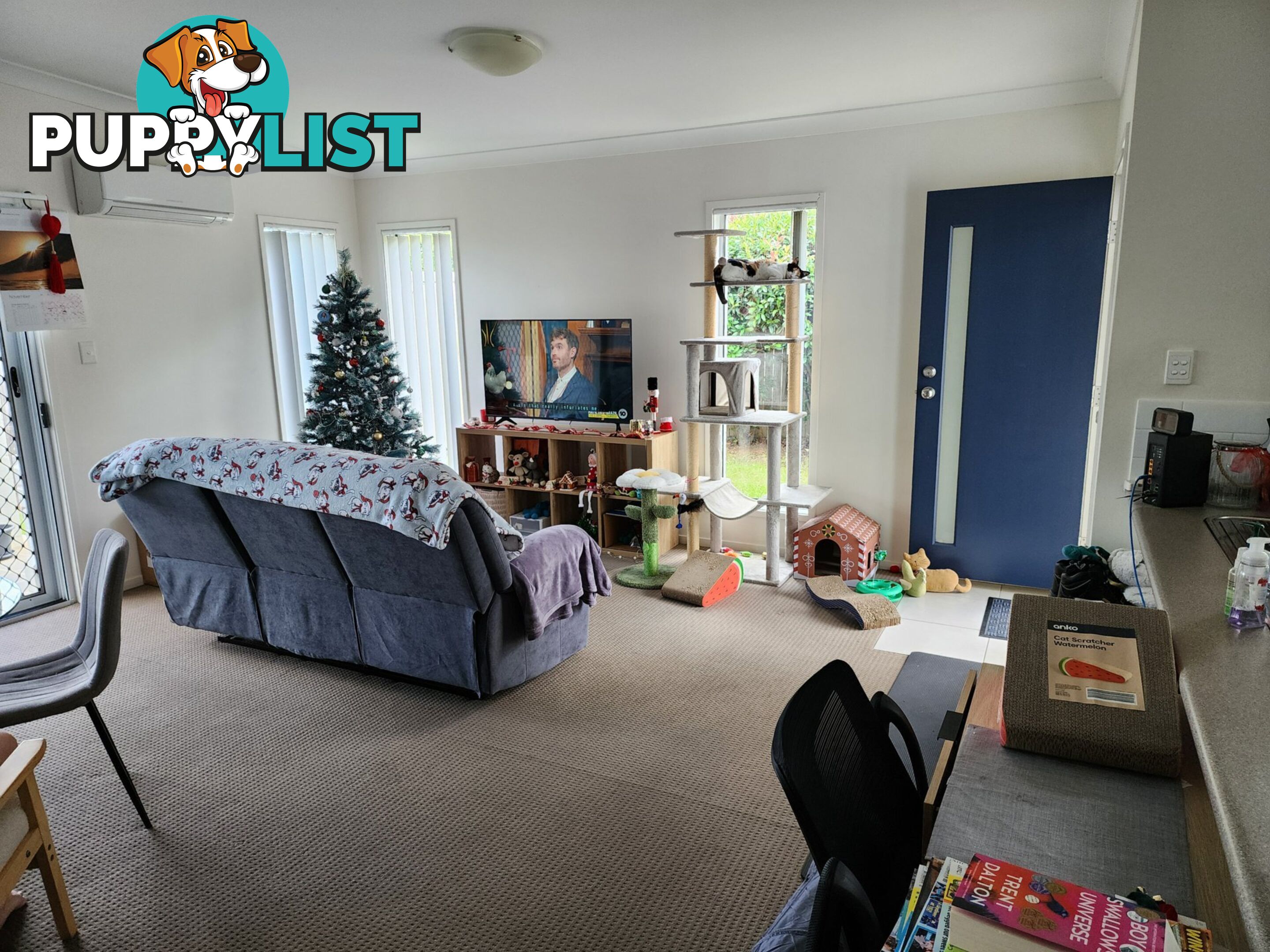 14 Augusta Close WARWICK QLD 4370