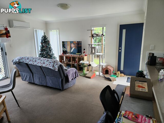 14 Augusta Close WARWICK QLD 4370