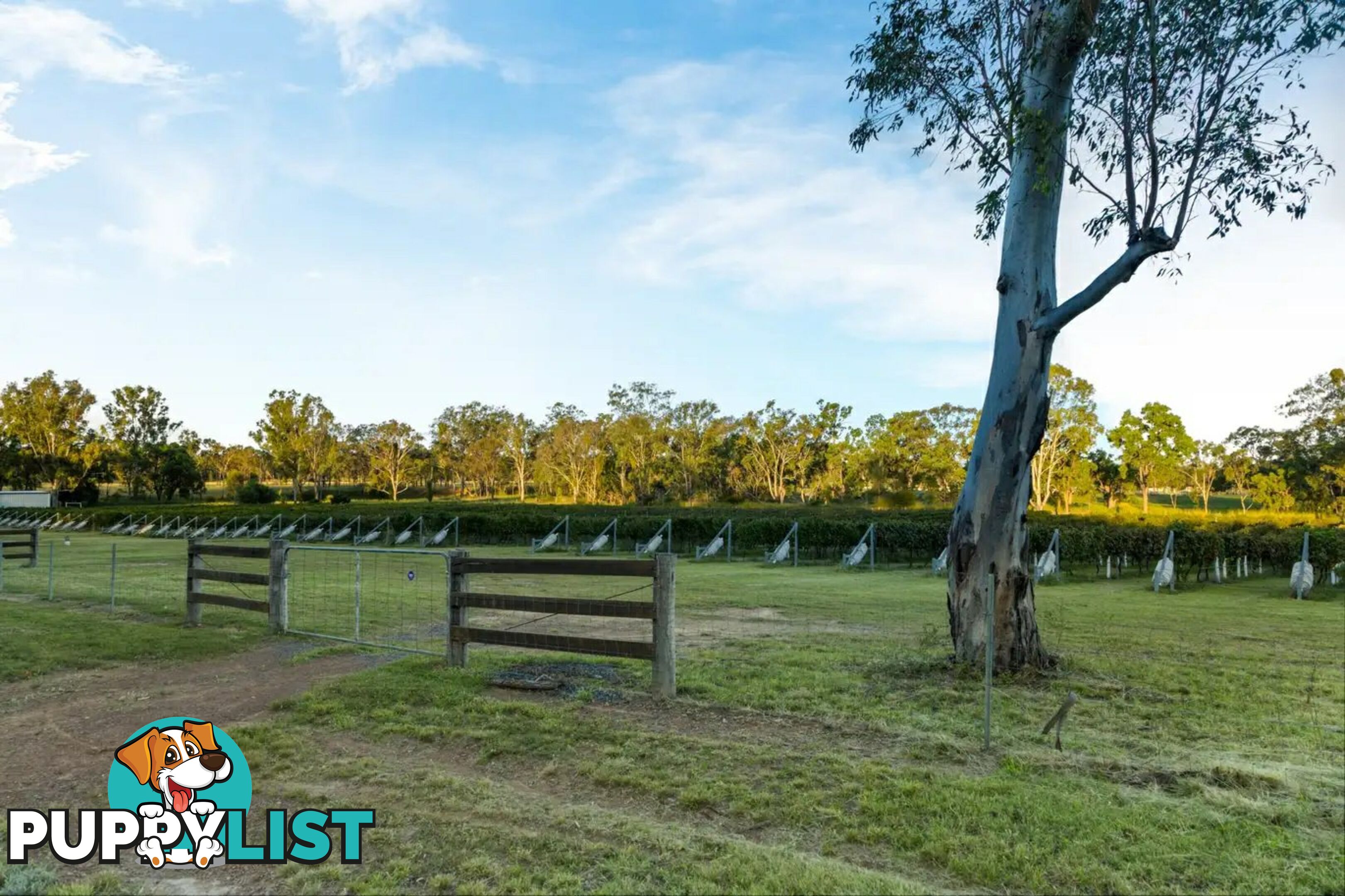 1 Ross Street LEYBURN QLD 4365