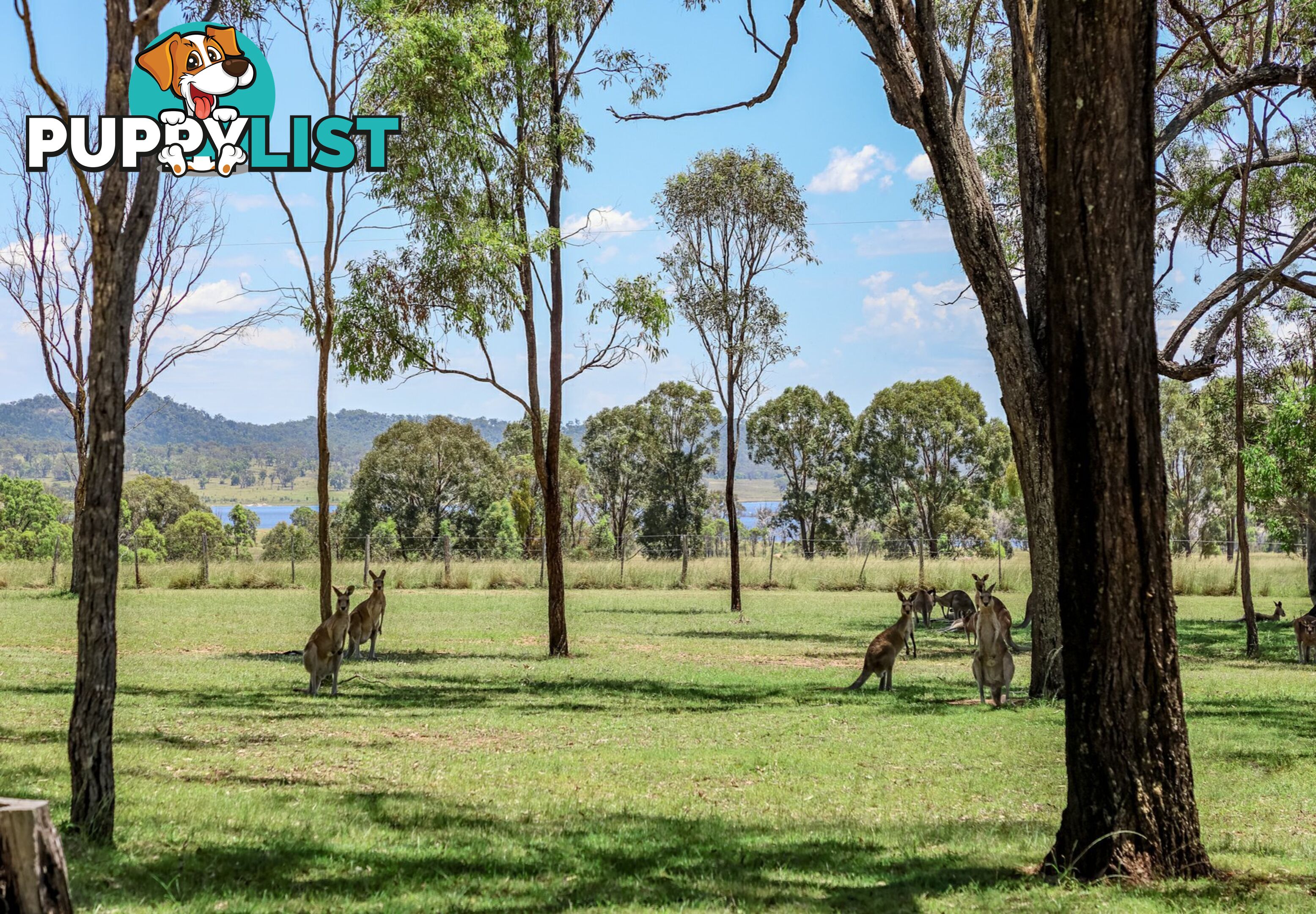 212 Woodhill Road LESLIE DAM QLD 4370