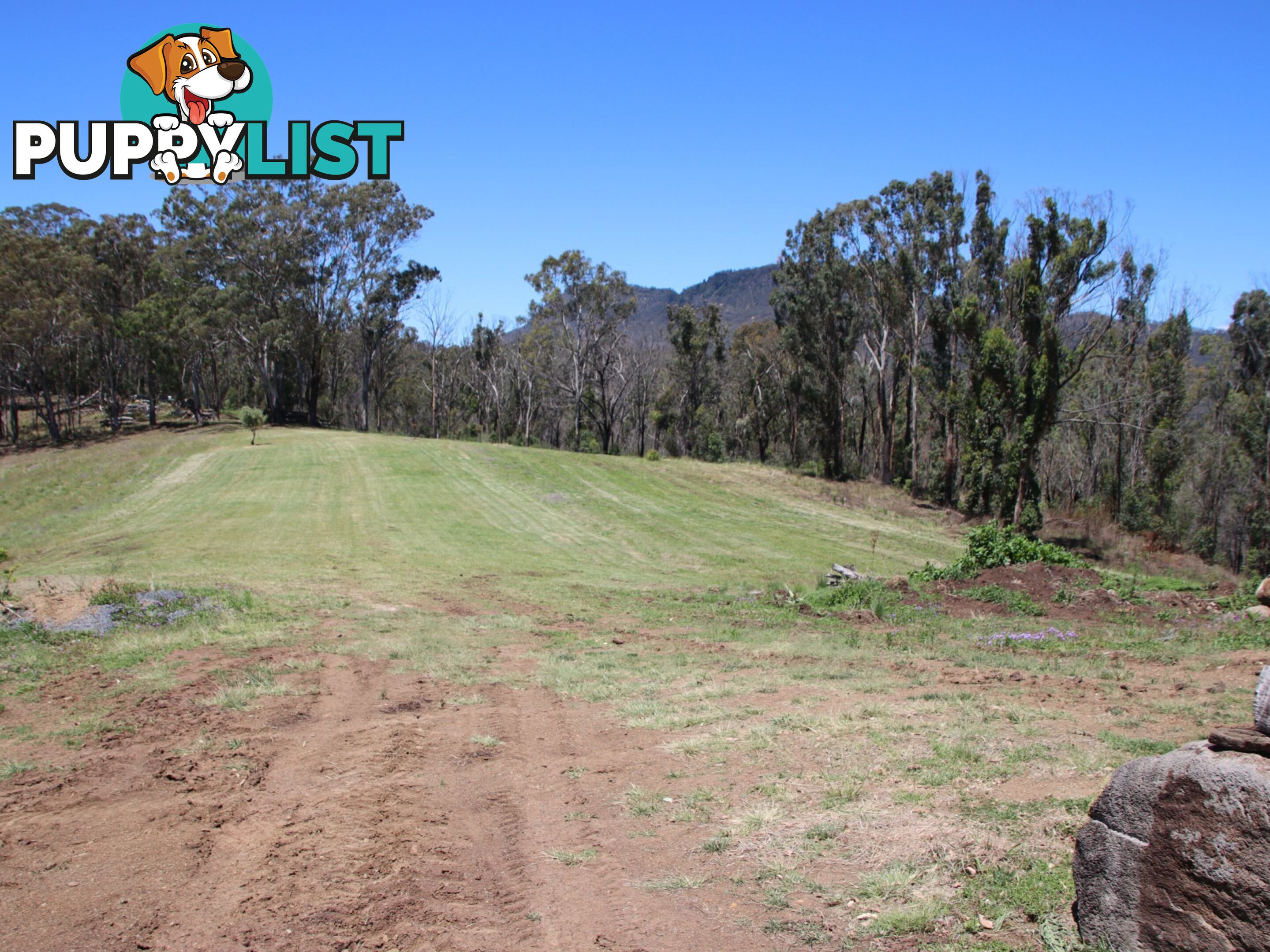 Lot 5 Cunningham Highway TREGONY QLD 4370