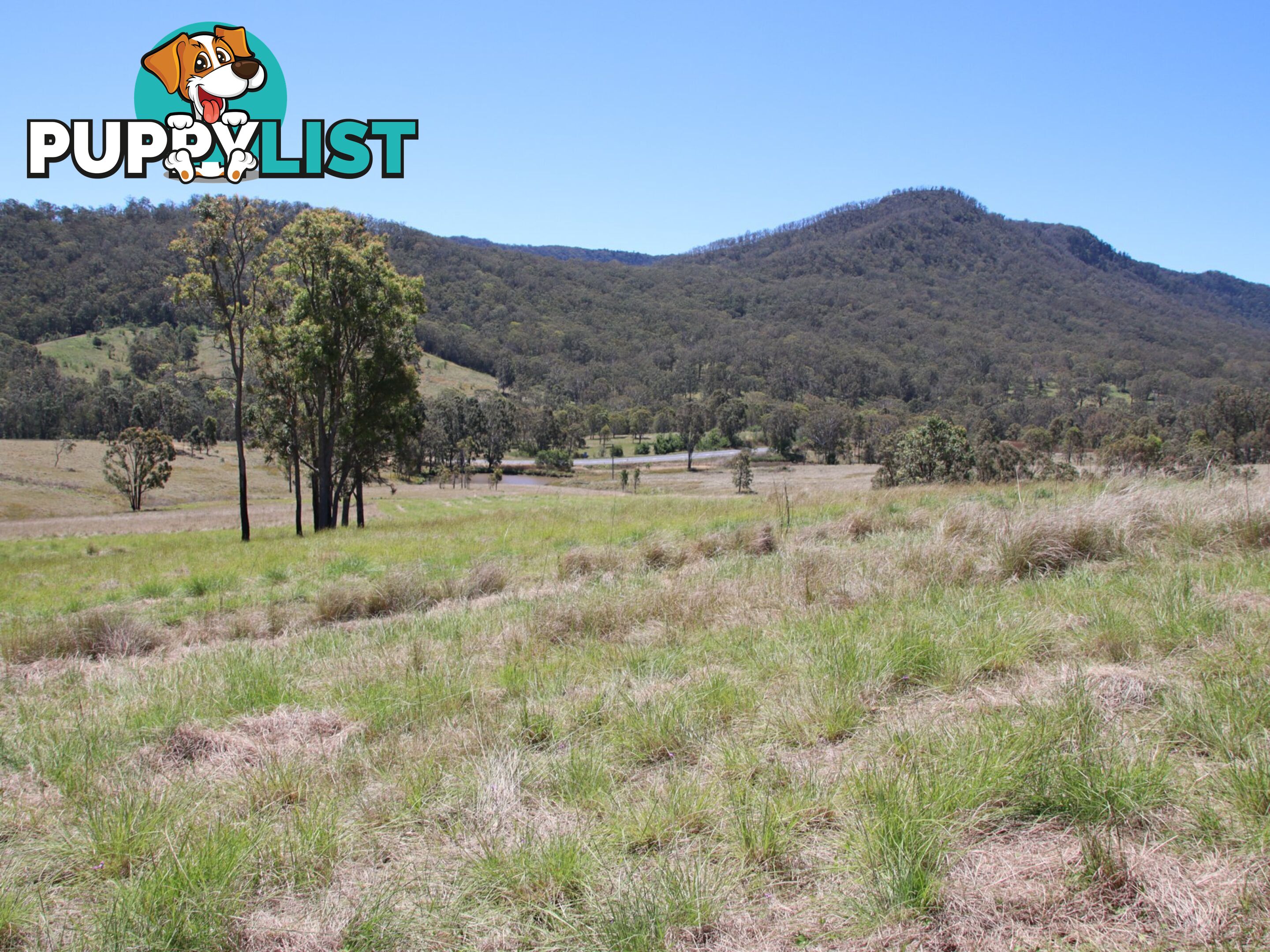 Lot 5 Cunningham Highway TREGONY QLD 4370