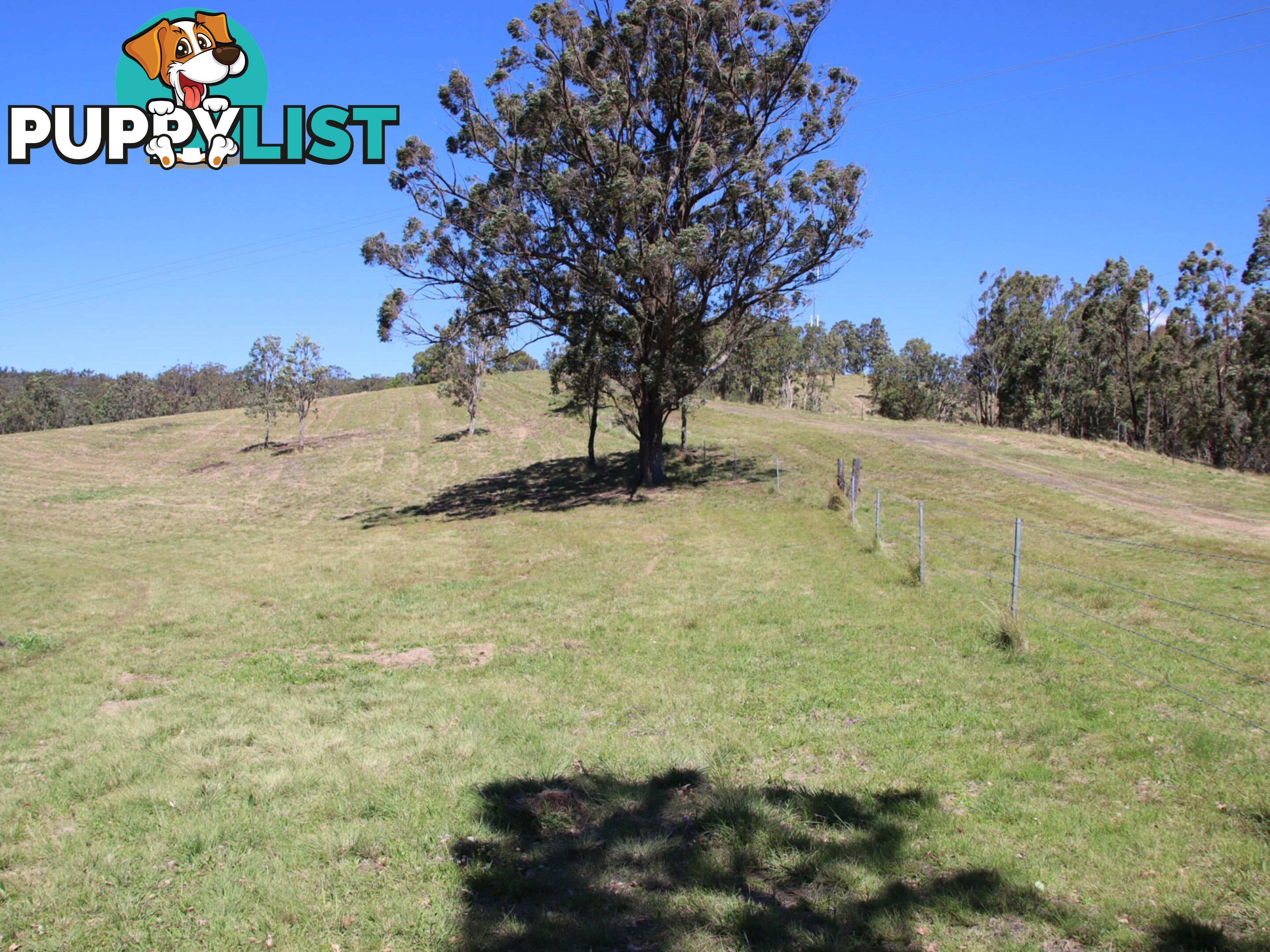 Lot 5 Cunningham Highway TREGONY QLD 4370