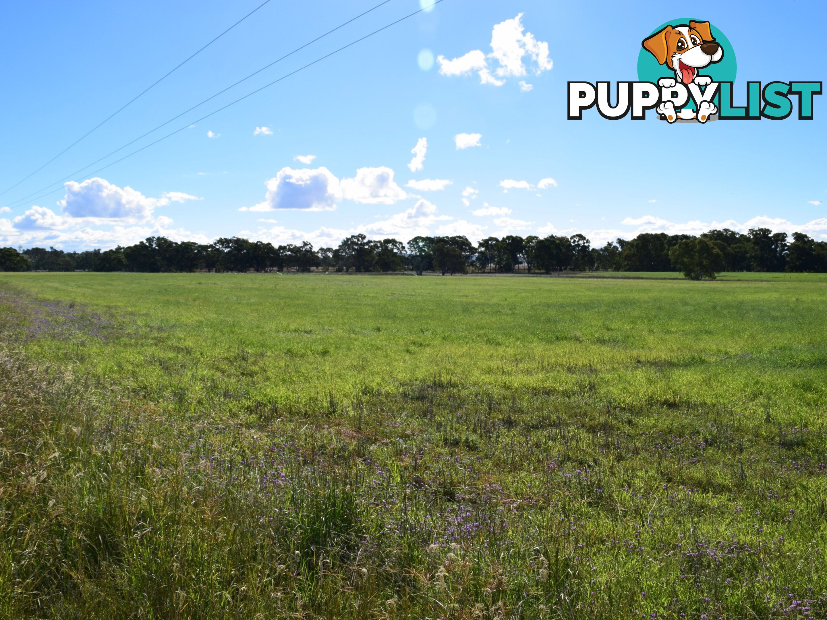 Lot 2 Leyburn-Cunningham Road WHEATVALE QLD 4370