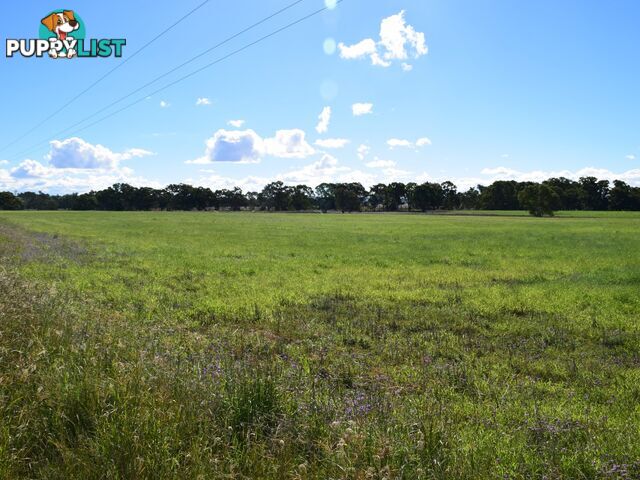 Lot 2 Leyburn-Cunningham Road WHEATVALE QLD 4370