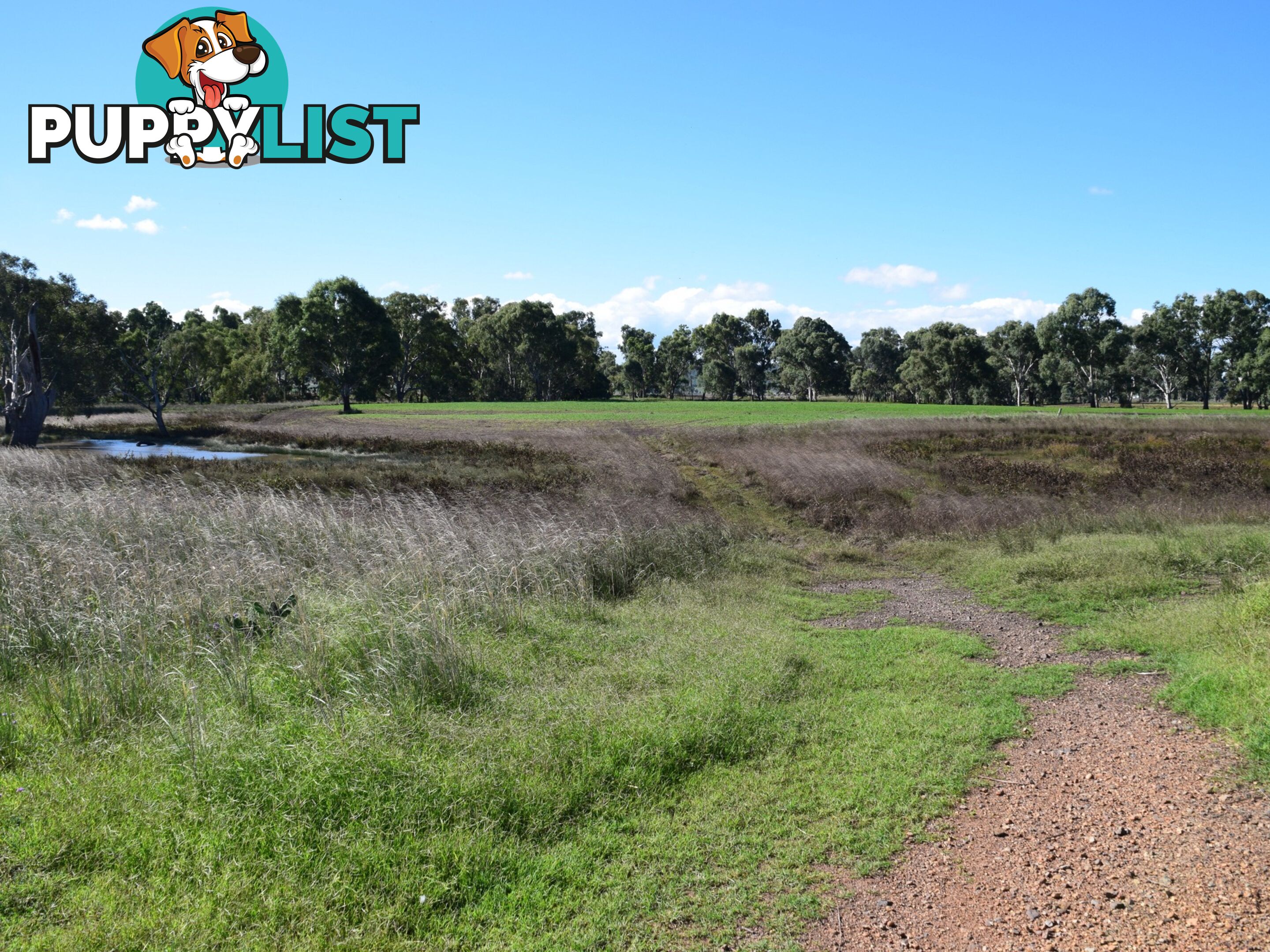 Lot 2 Leyburn-Cunningham Road WHEATVALE QLD 4370