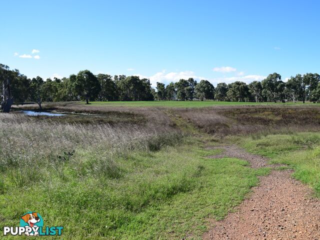 Lot 2 Leyburn-Cunningham Road WHEATVALE QLD 4370