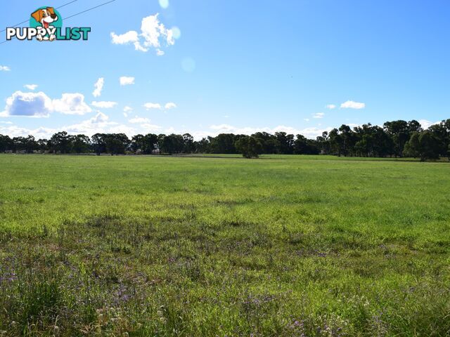 Lot 2 Leyburn-Cunningham Road WHEATVALE QLD 4370