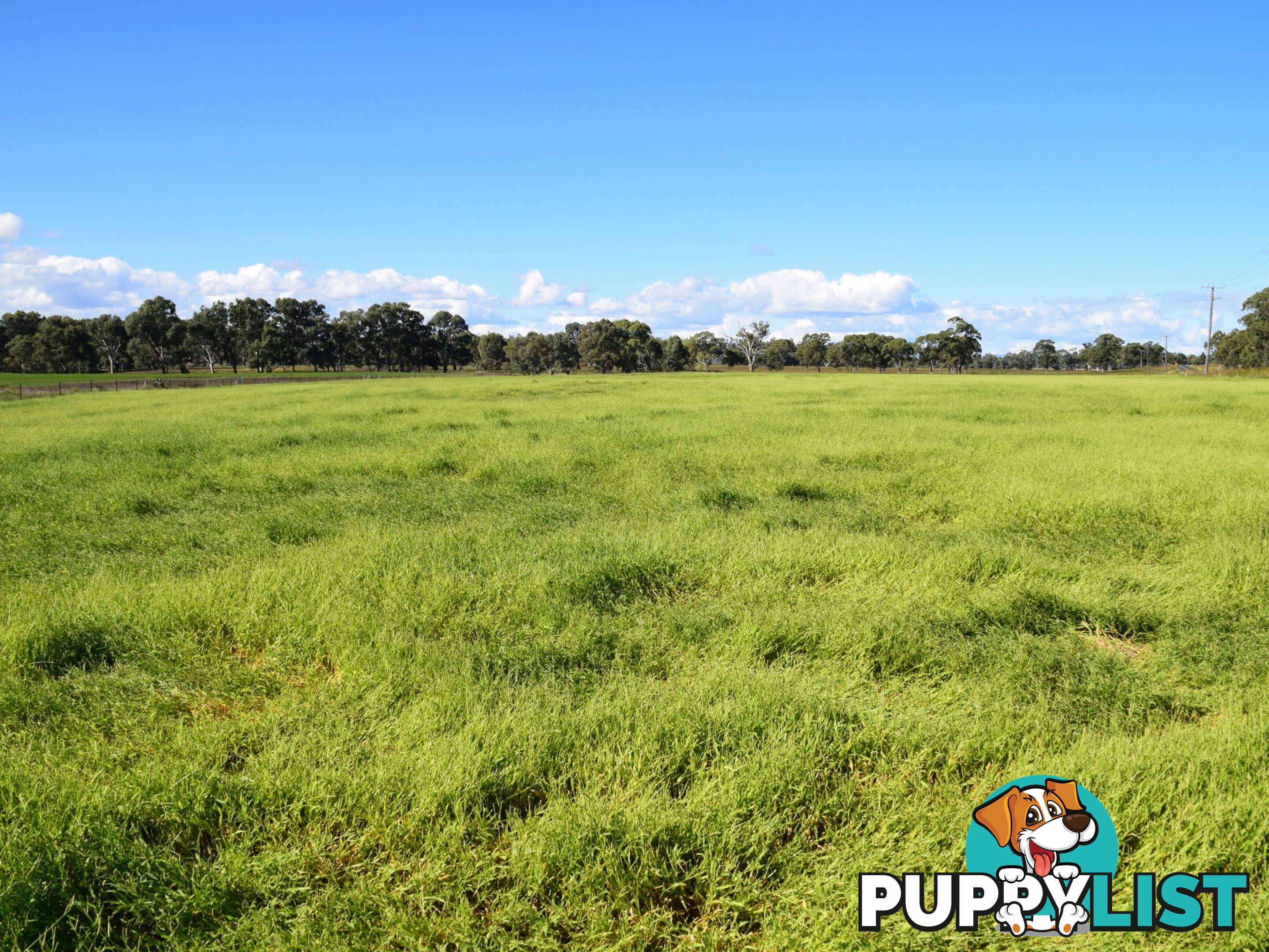 Lot 2 Leyburn-Cunningham Road WHEATVALE QLD 4370