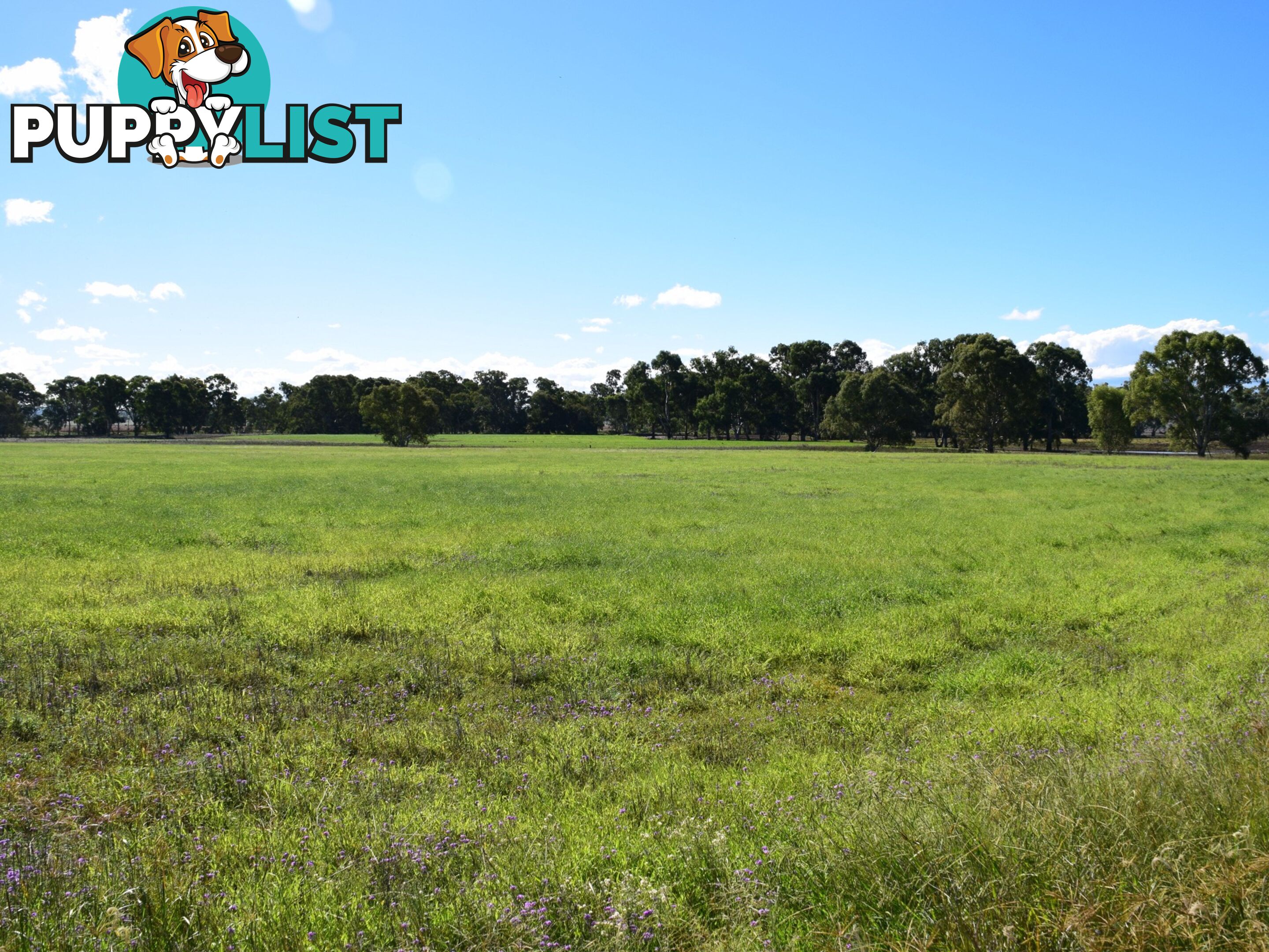 Lot 2 Leyburn-Cunningham Road WHEATVALE QLD 4370