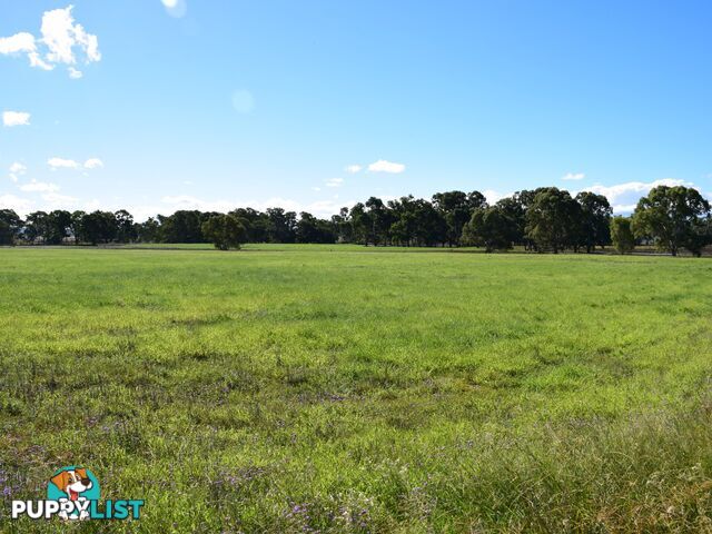 Lot 2 Leyburn-Cunningham Road WHEATVALE QLD 4370