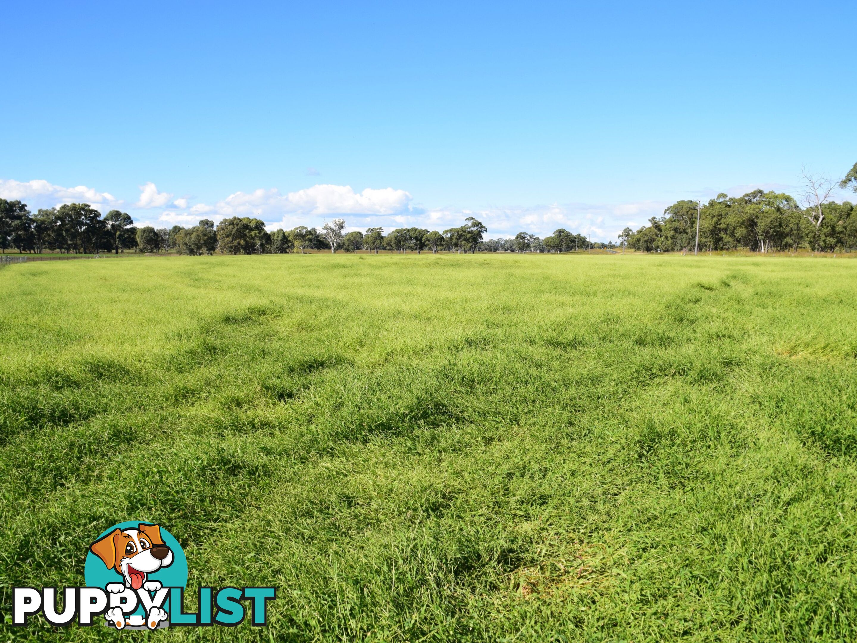 Lot 2 Leyburn-Cunningham Road WHEATVALE QLD 4370