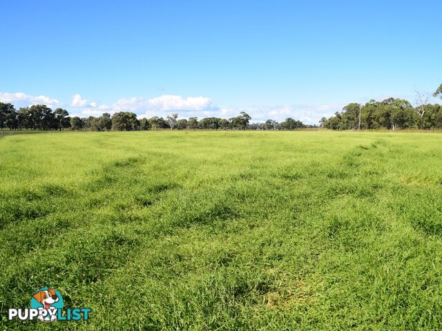 Lot 2 Leyburn-Cunningham Road WHEATVALE QLD 4370