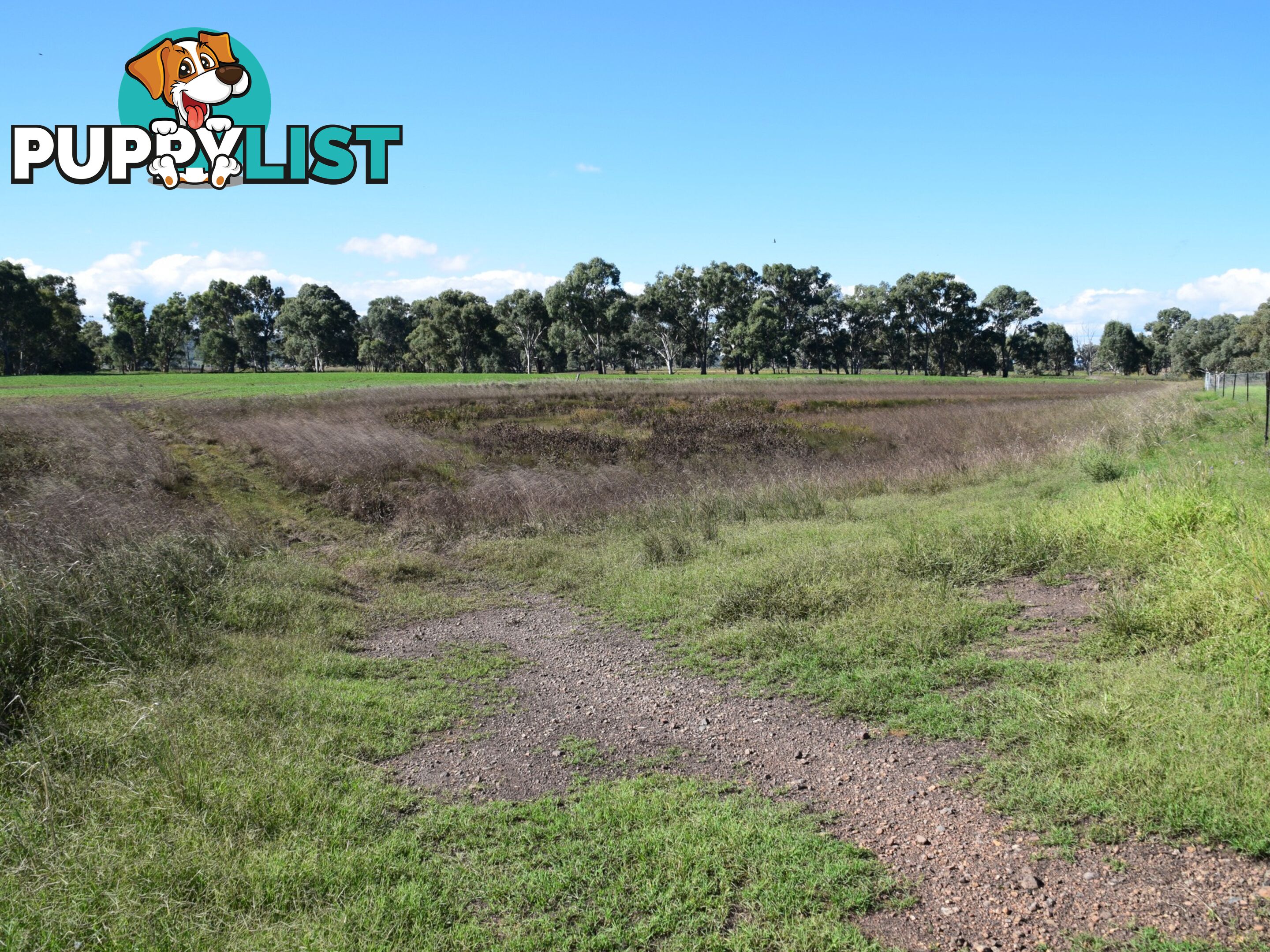 Lot 2 Leyburn-Cunningham Road WHEATVALE QLD 4370