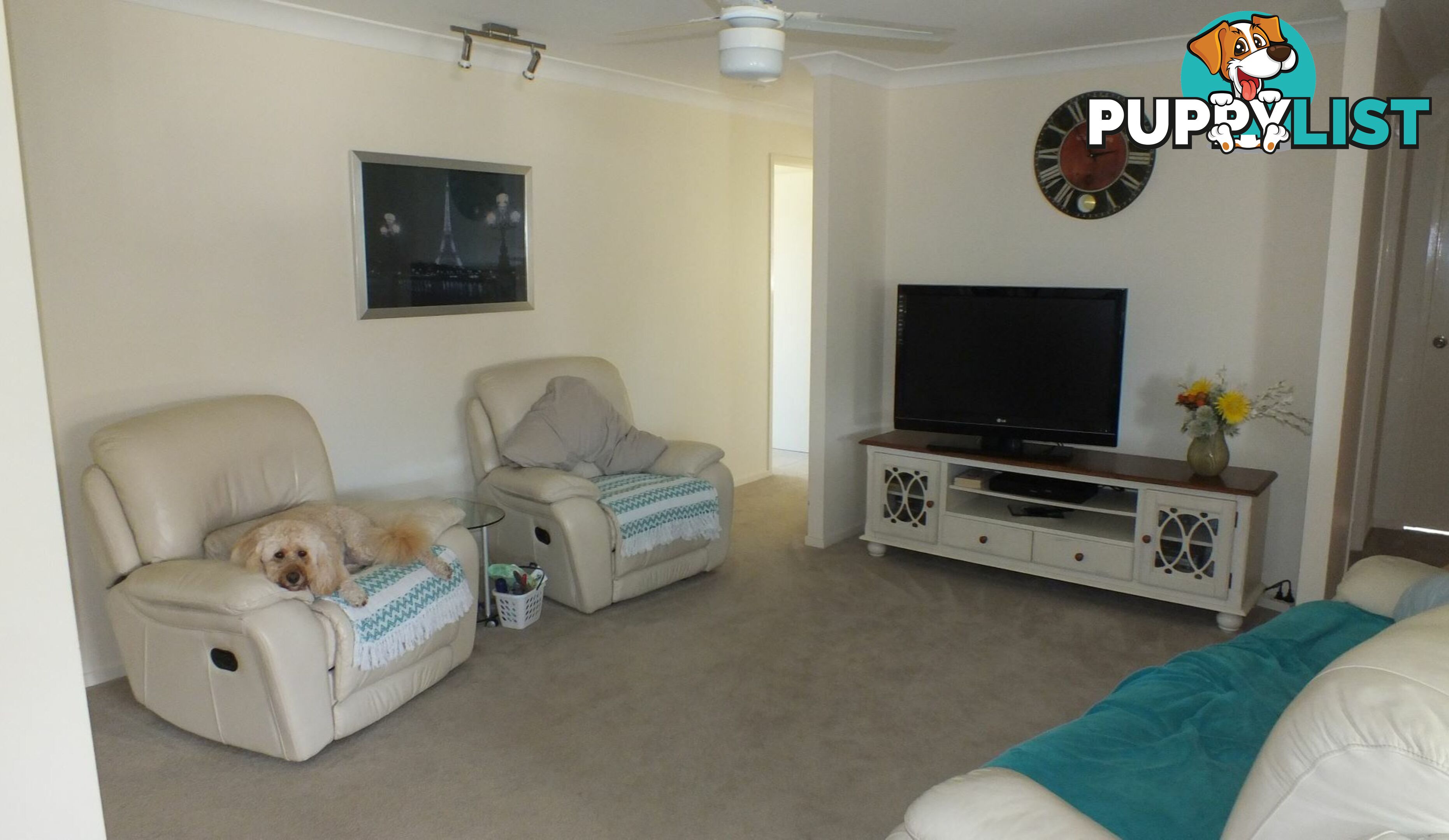 6 Jabrili Court WARWICK QLD 4370