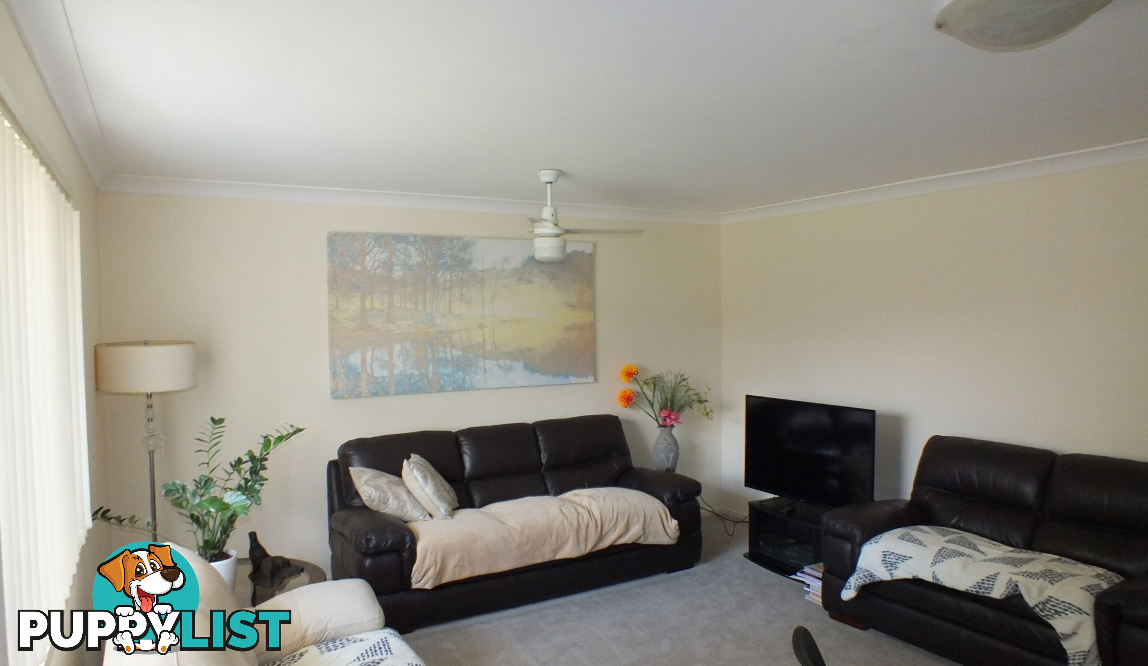 6 Jabrili Court WARWICK QLD 4370