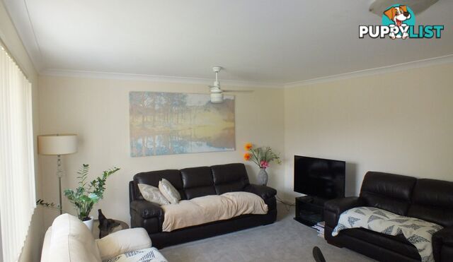 6 Jabrili Court WARWICK QLD 4370