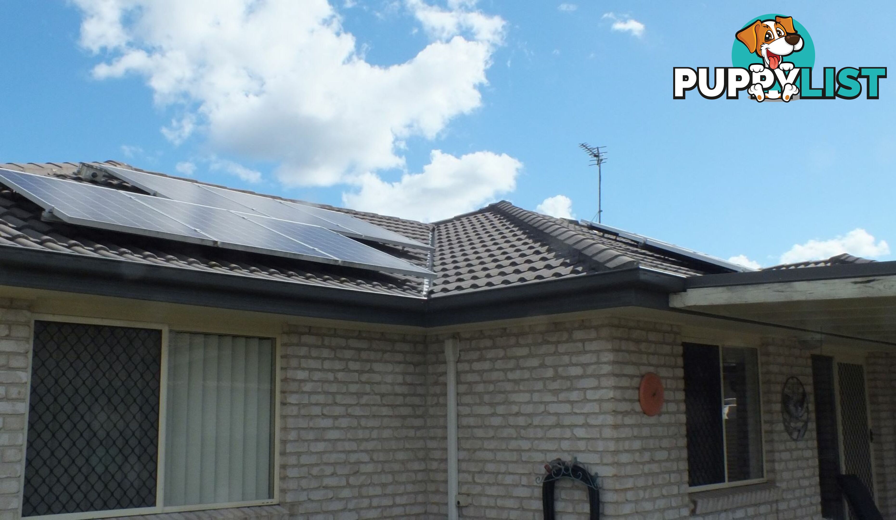 6 Jabrili Court WARWICK QLD 4370