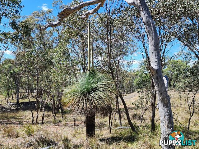 Lot 1 Stanthorpe Inglewood Road STANTHORPE QLD 4380