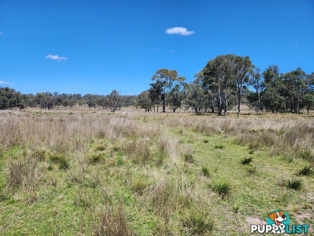 Lot 1 Stanthorpe Inglewood Road STANTHORPE QLD 4380