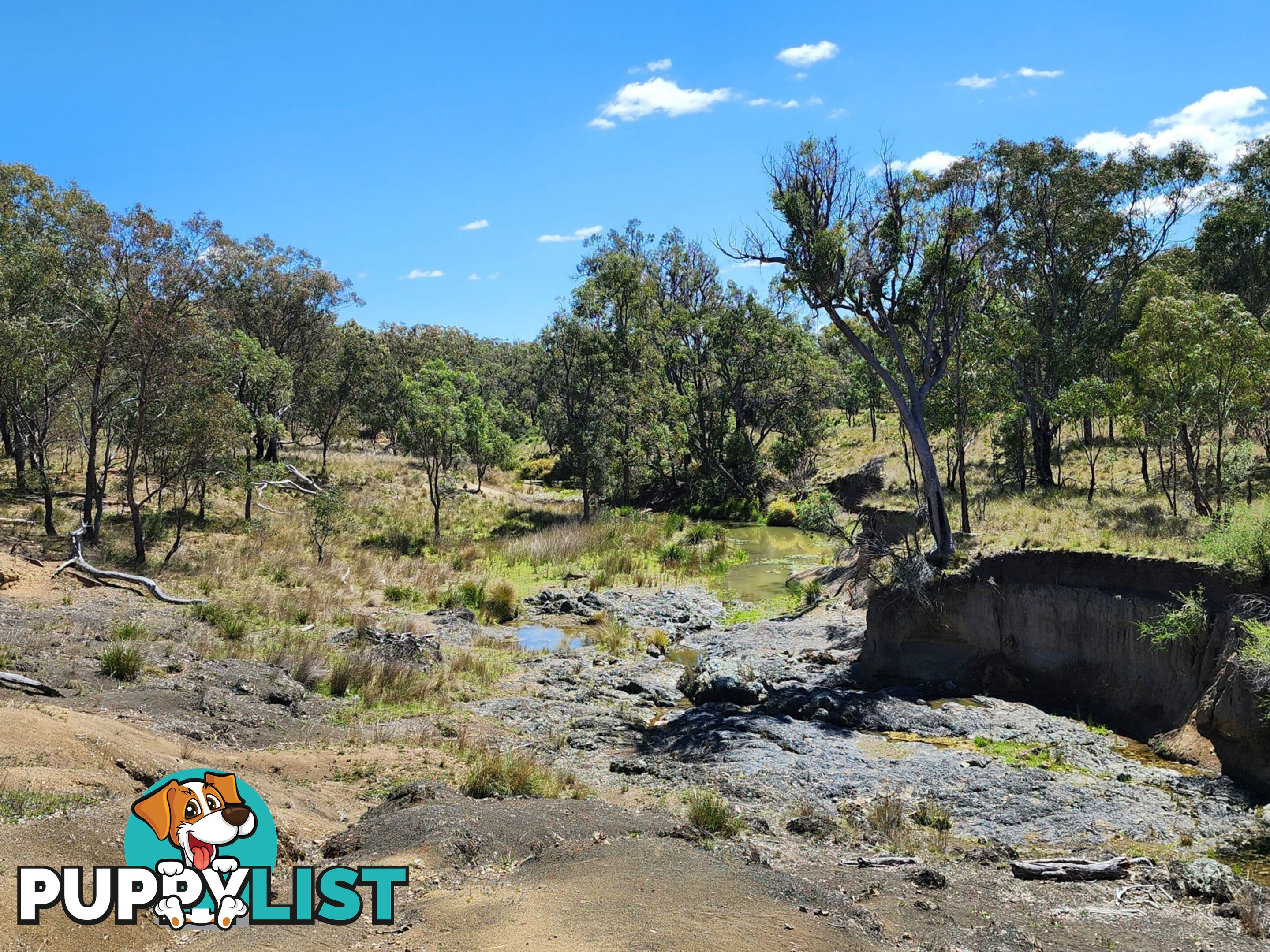 Lot 1 Stanthorpe Inglewood Road STANTHORPE QLD 4380