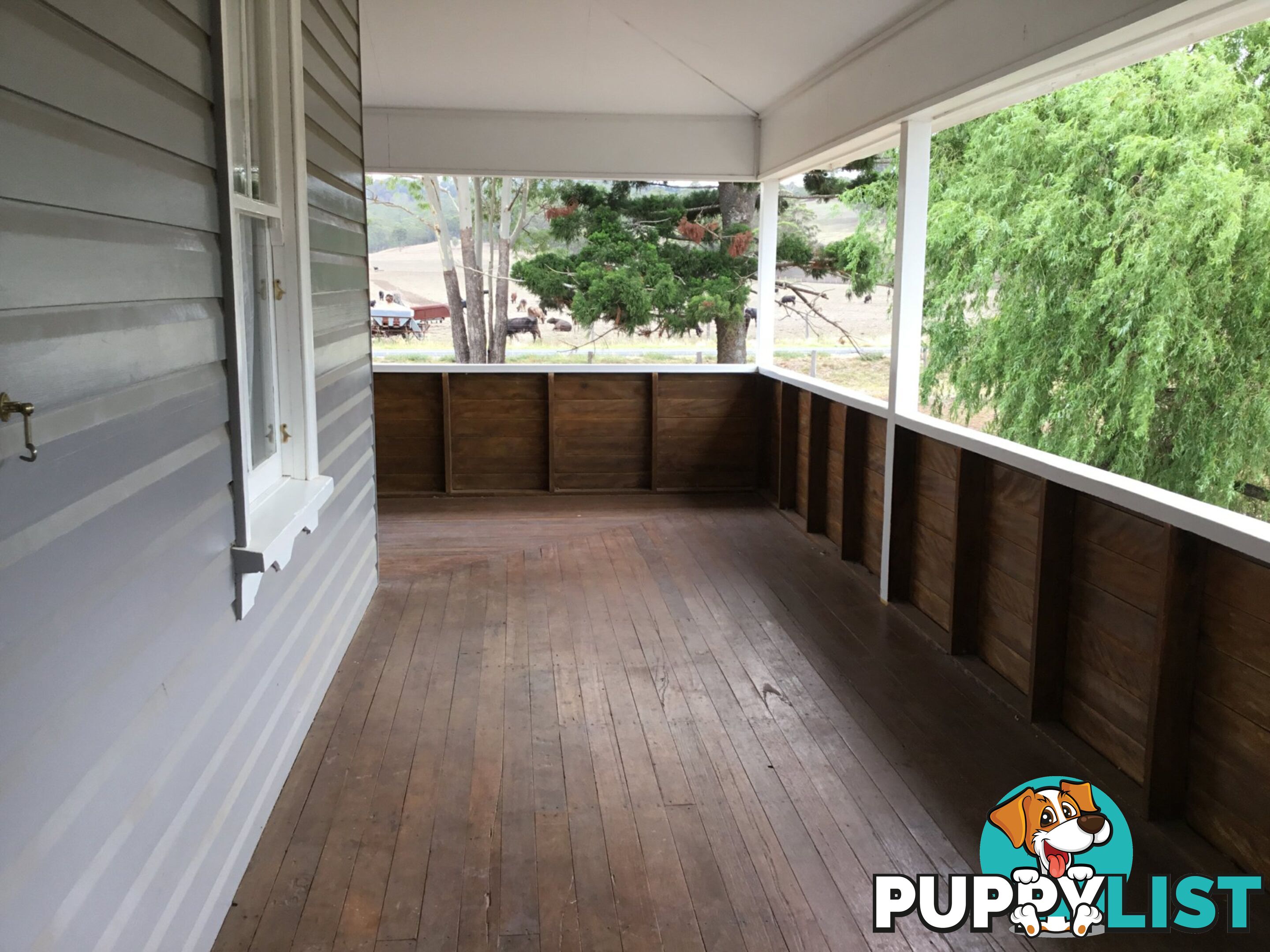 273 Killarney Road LEGUME NSW 2476