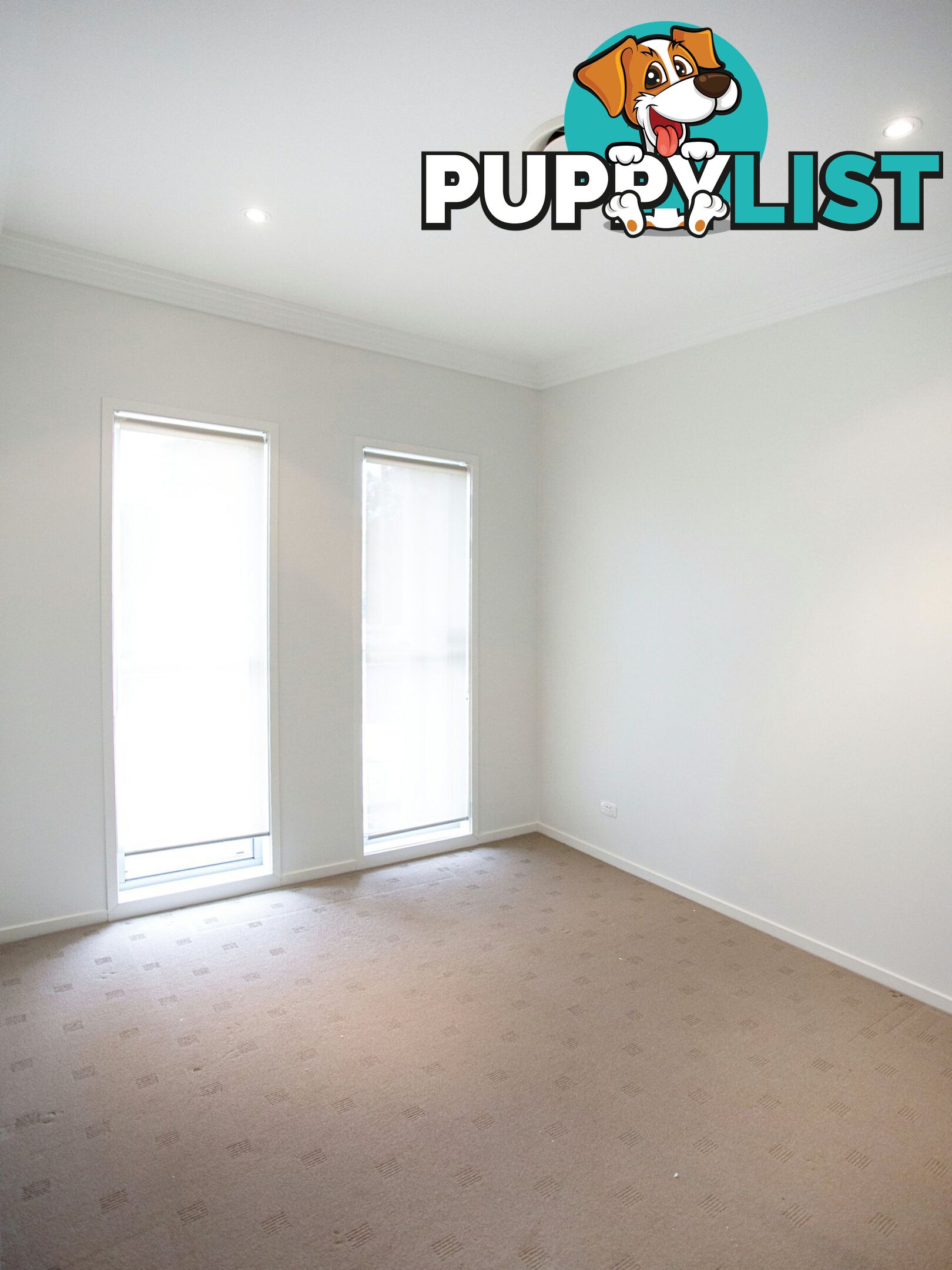 2 Rodeo Drive WARWICK QLD 4370