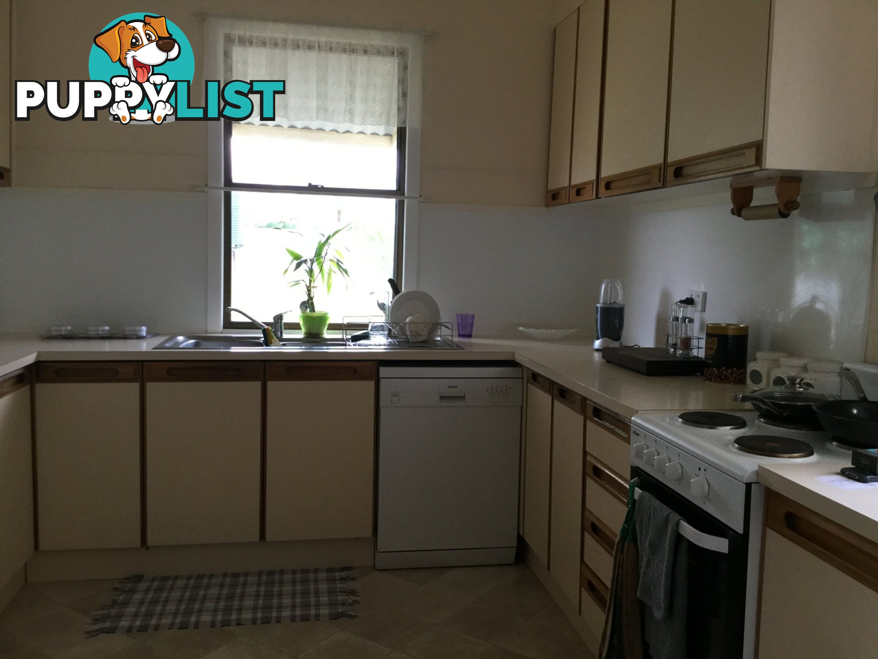 199 Pratten Street WARWICK QLD 4370