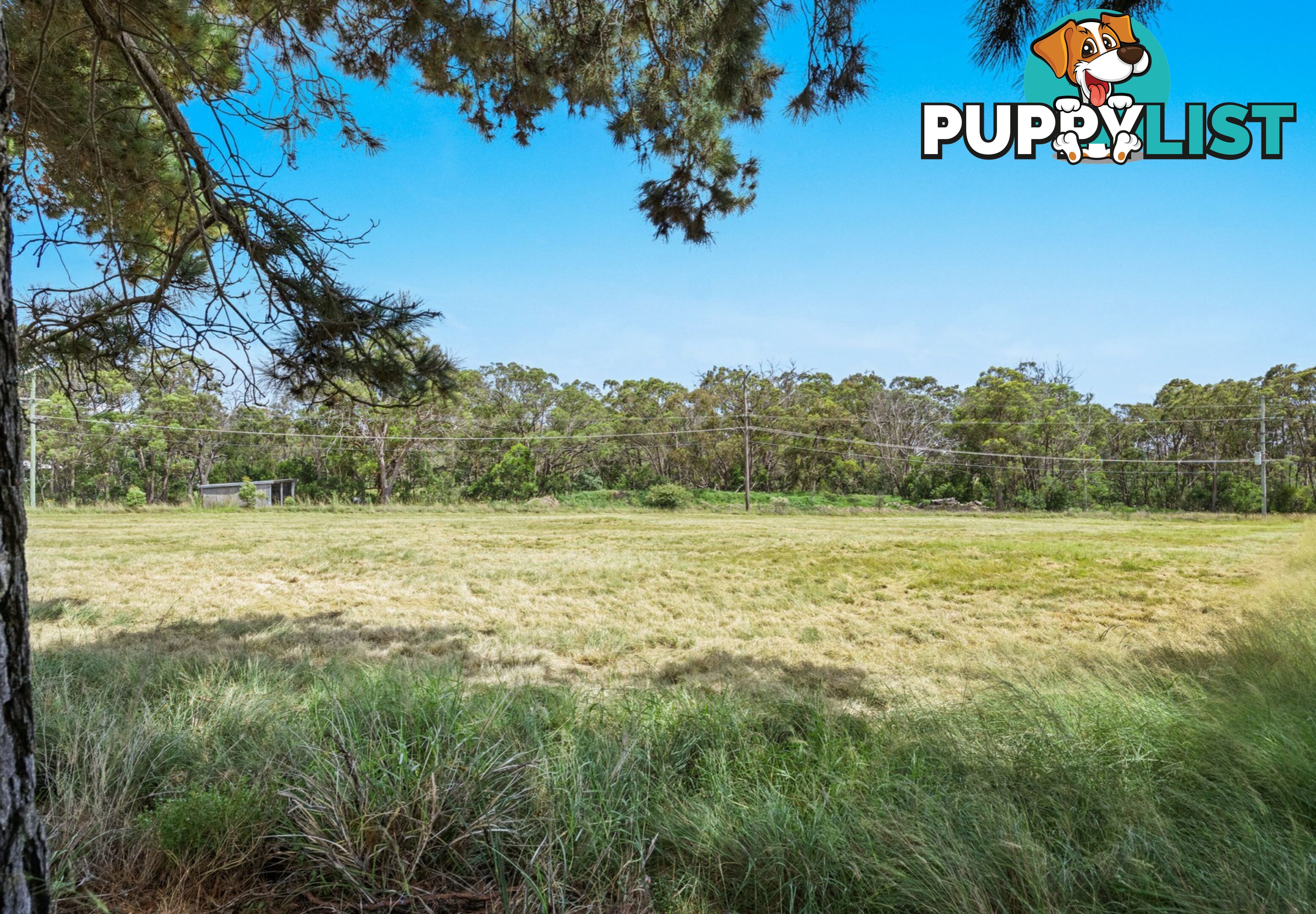 Lot 1 Tunnel Road DALVEEN QLD 4374