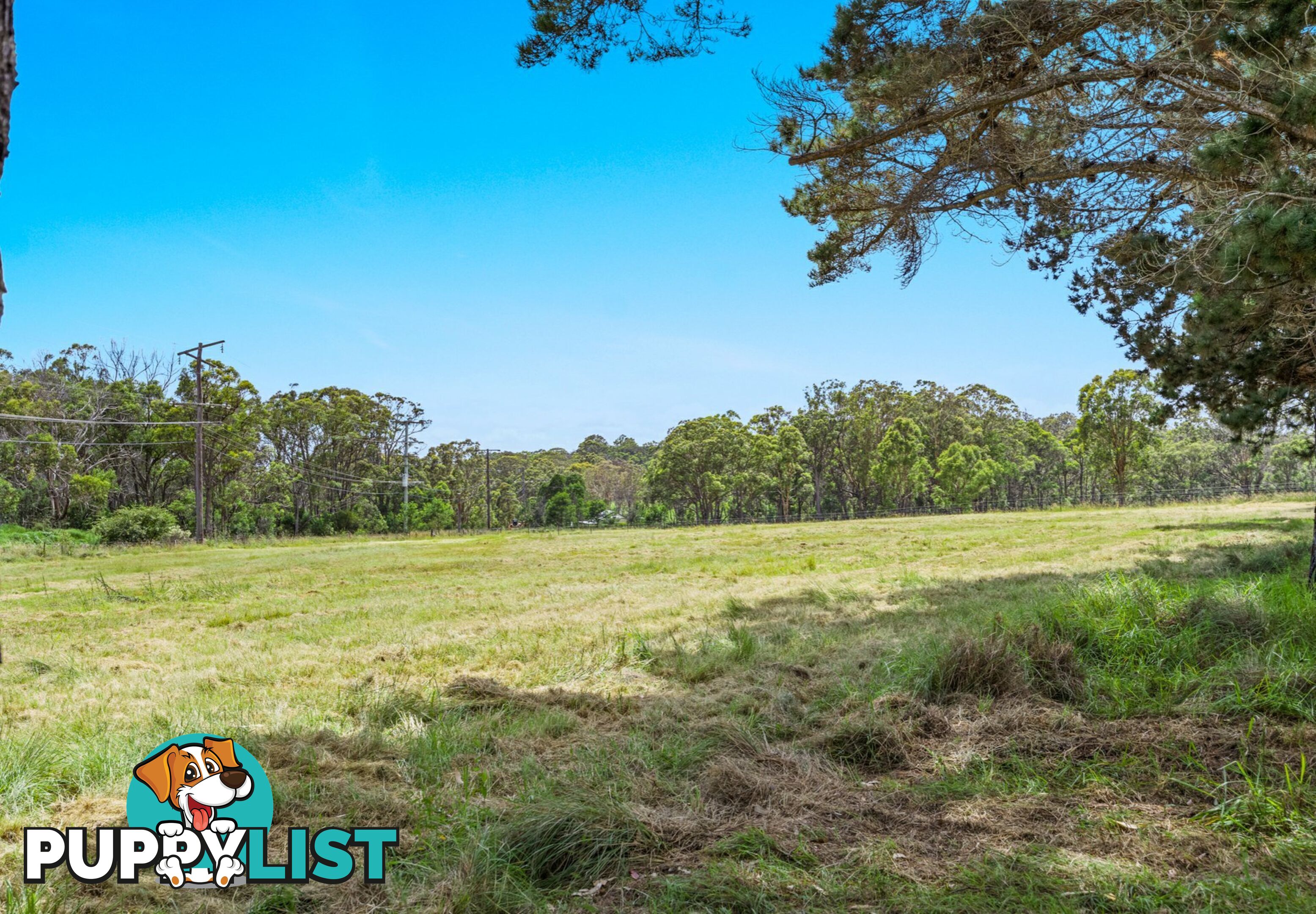 Lot 1 Tunnel Road DALVEEN QLD 4374