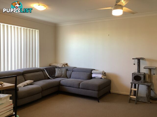 23 Sharon Drive WARWICK QLD 4370
