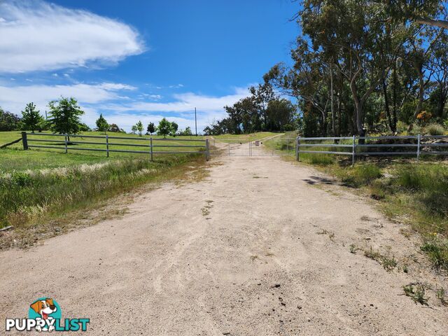 827 Thorndale Road GLEN APLIN QLD 4381