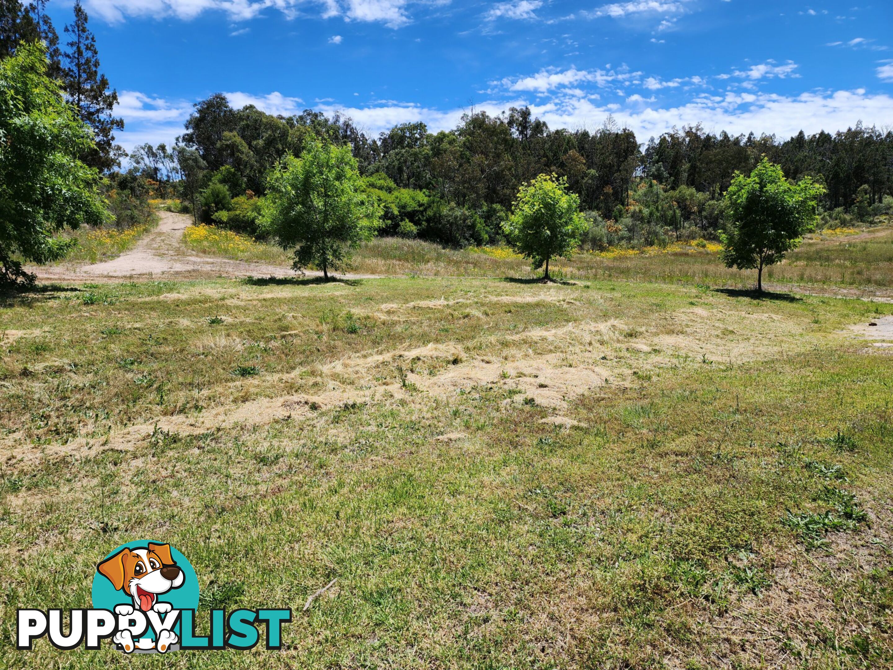 827 Thorndale Road GLEN APLIN QLD 4381