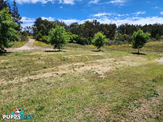 827 Thorndale Road GLEN APLIN QLD 4381