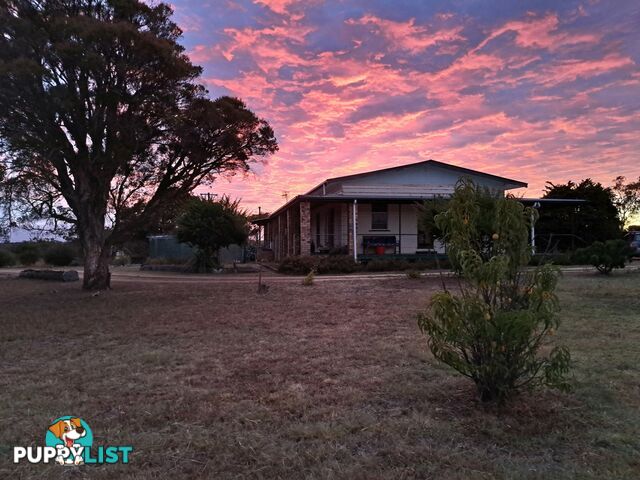 55 Blakes Road WILDASH QLD 4370