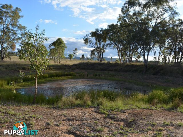 49 Scrymgeour Rd (Lot 28 Morgan Park Rd) WARWICK QLD 4370