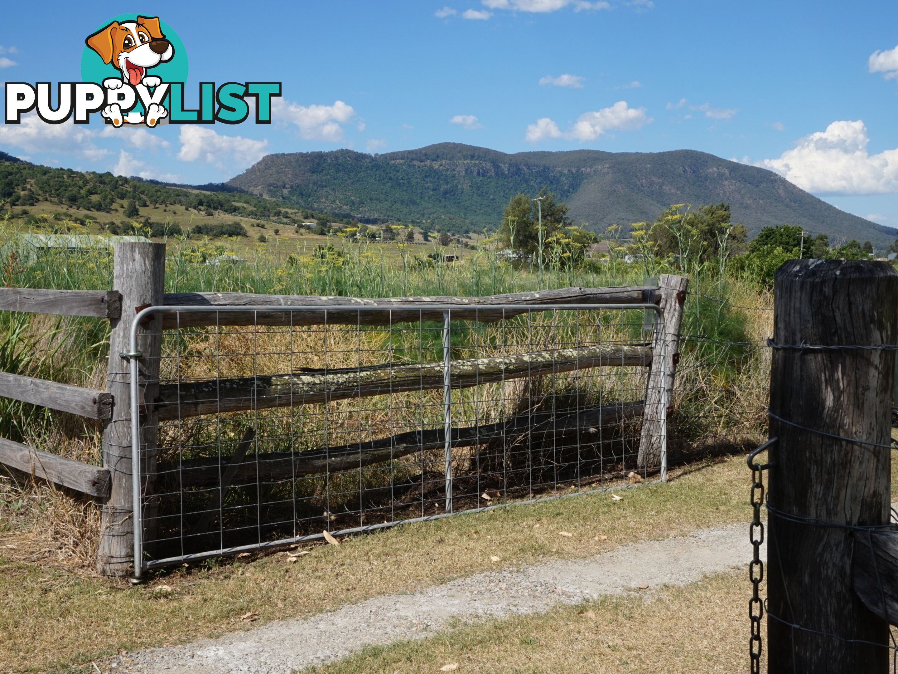 519 Yangan - Killarney Road EMU VALE QLD 4371