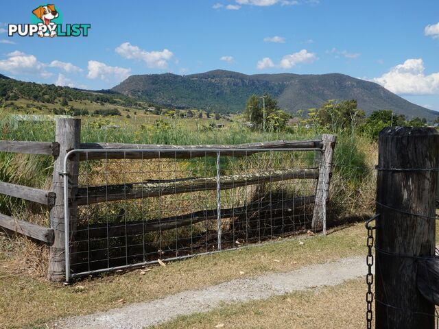 519 Yangan - Killarney Road EMU VALE QLD 4371