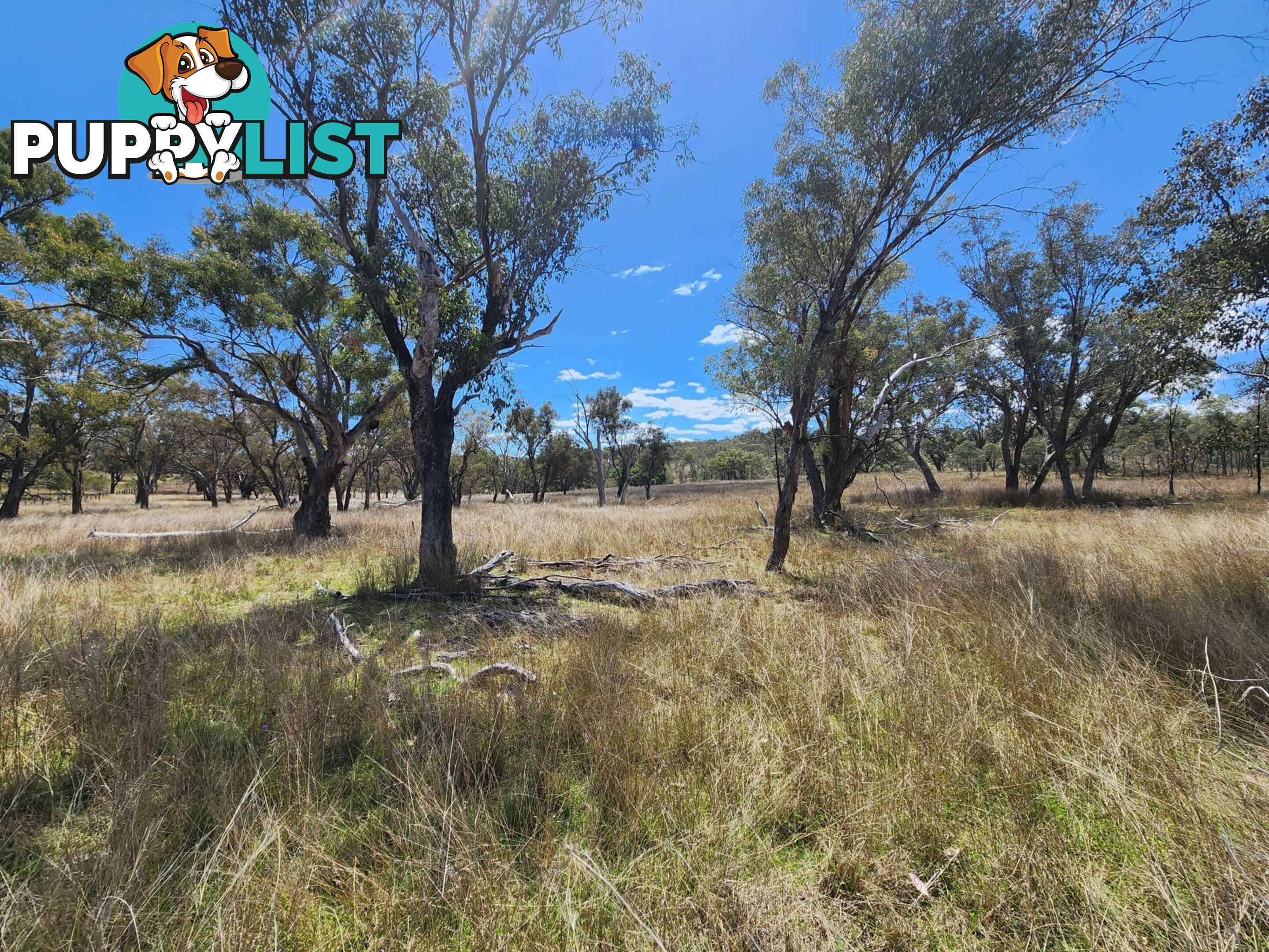 Lot 2 Stanthorpe Texas Road STANTHORPE QLD 4380