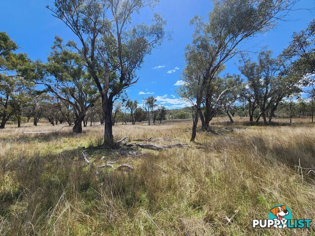 Lot 2 Stanthorpe Texas Road STANTHORPE QLD 4380