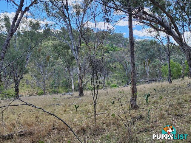 Lot 2 Stanthorpe Texas Road STANTHORPE QLD 4380