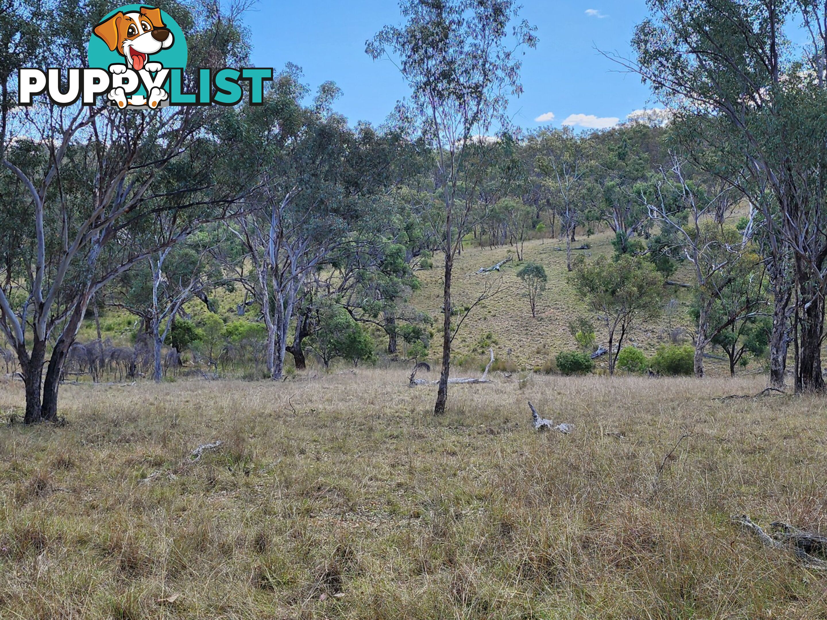 Lot 2 Stanthorpe Texas Road STANTHORPE QLD 4380