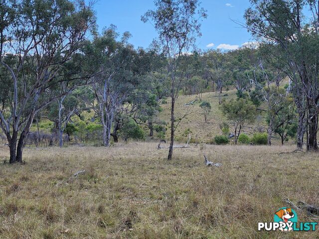 Lot 2 Stanthorpe Texas Road STANTHORPE QLD 4380