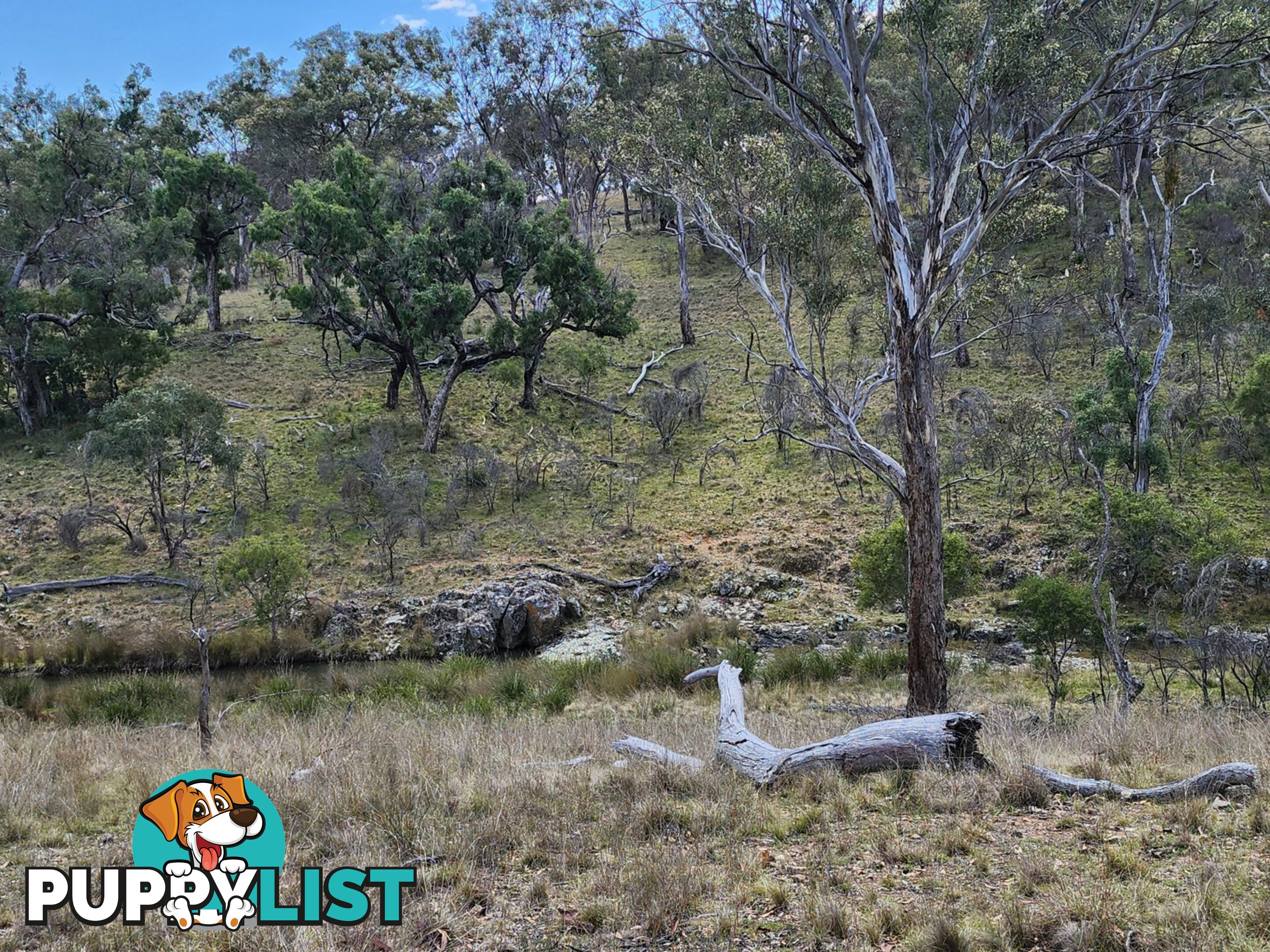 Lot 2 Stanthorpe Texas Road STANTHORPE QLD 4380