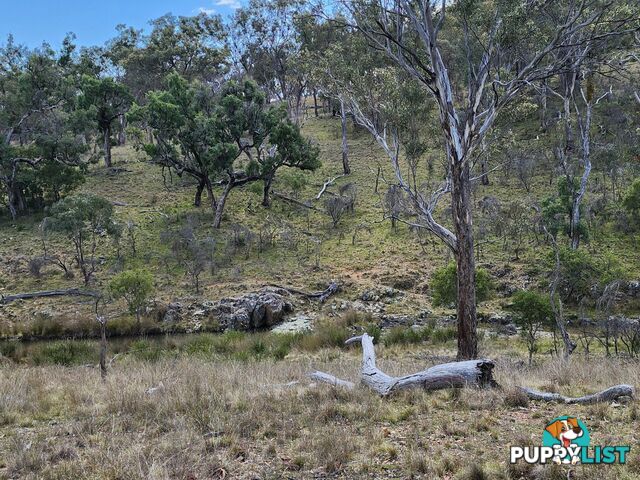Lot 2 Stanthorpe Texas Road STANTHORPE QLD 4380