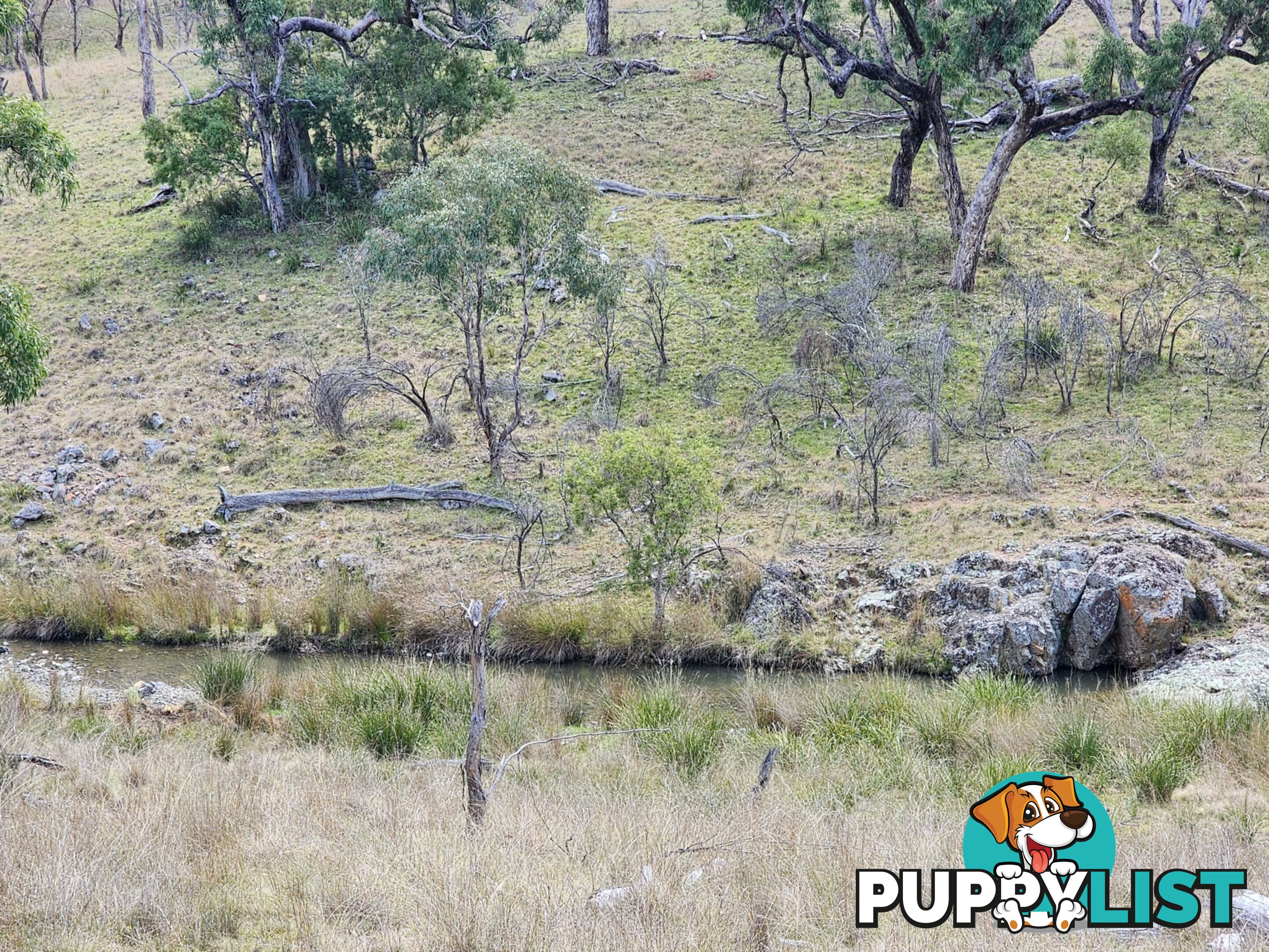 Lot 2 Stanthorpe Texas Road STANTHORPE QLD 4380