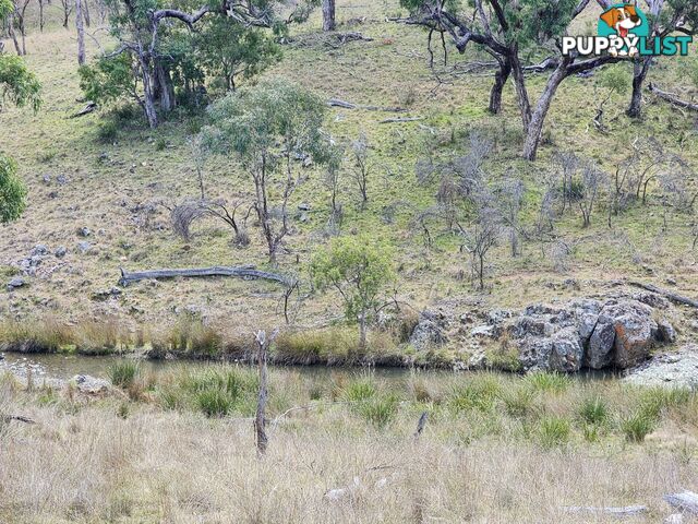 Lot 2 Stanthorpe Texas Road STANTHORPE QLD 4380