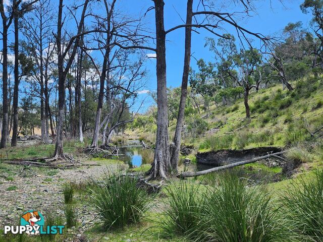 Lot 2 Stanthorpe Texas Road STANTHORPE QLD 4380
